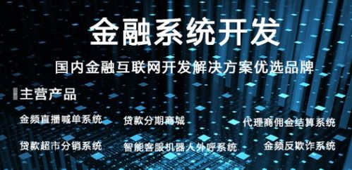 國內(nèi)專注于互聯(lián)網(wǎng)金融系統(tǒng)軟件研發(fā)及外包服務(wù)的知名公司