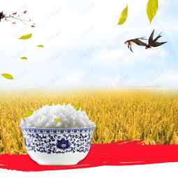 糧食大米PSD分層主圖素材免費(fèi)獲取與設(shè)計(jì)技巧