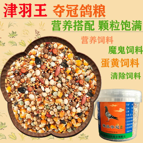 天津羽王鴿具 專注鴿糧品質(zhì)，助力賽鴿飛翔——優(yōu)選賽鴿用品與糧食