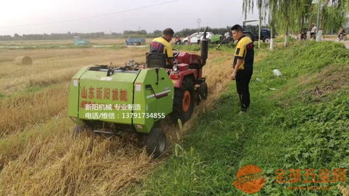 東北畜牧養(yǎng)殖迎來(lái)高效時(shí)代 飼料捆草機(jī)械與糧食全鏈條革新