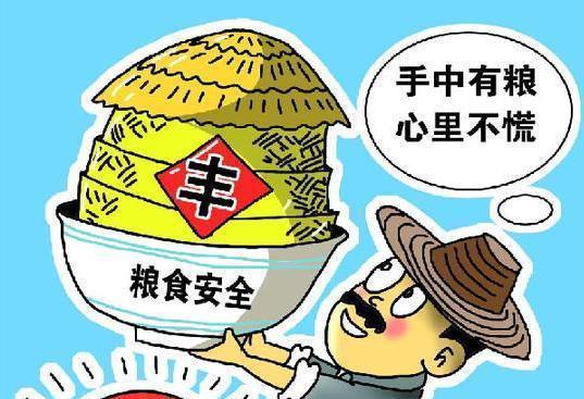 糧食安全的多維布局 理性看待“退林還耕”策略